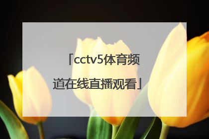 「cctv5体育频道在线直播观看」cctv5体育频道央视五套在线直播高清