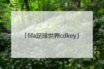「fifa足球世界cdkey」fifa足球世界cdk格式不正确
